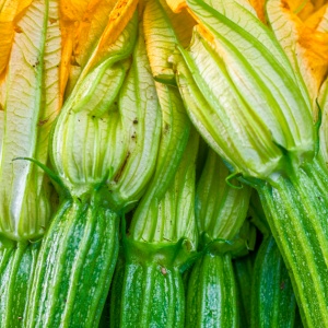 5 curiosità sulle zucchine estive
